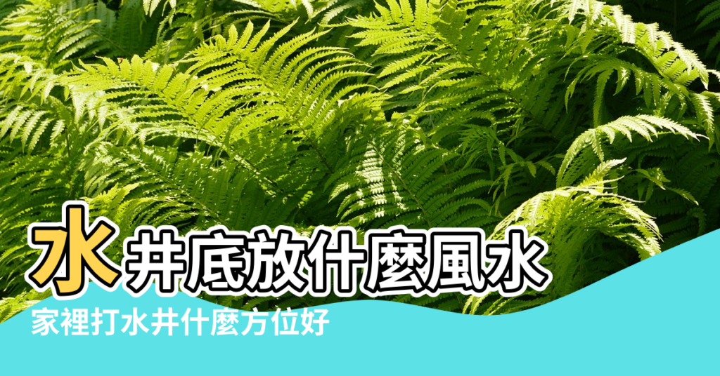 【水井底放什麼風水】水井底放什麼風水 |家裡打水井什麼方位好 |打井風水位置的要點 |