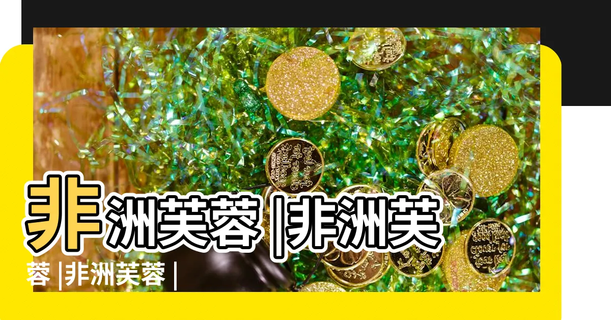 【非洲芙蓉】非洲芙蓉 |非洲芙蓉 |非洲芙蓉 |