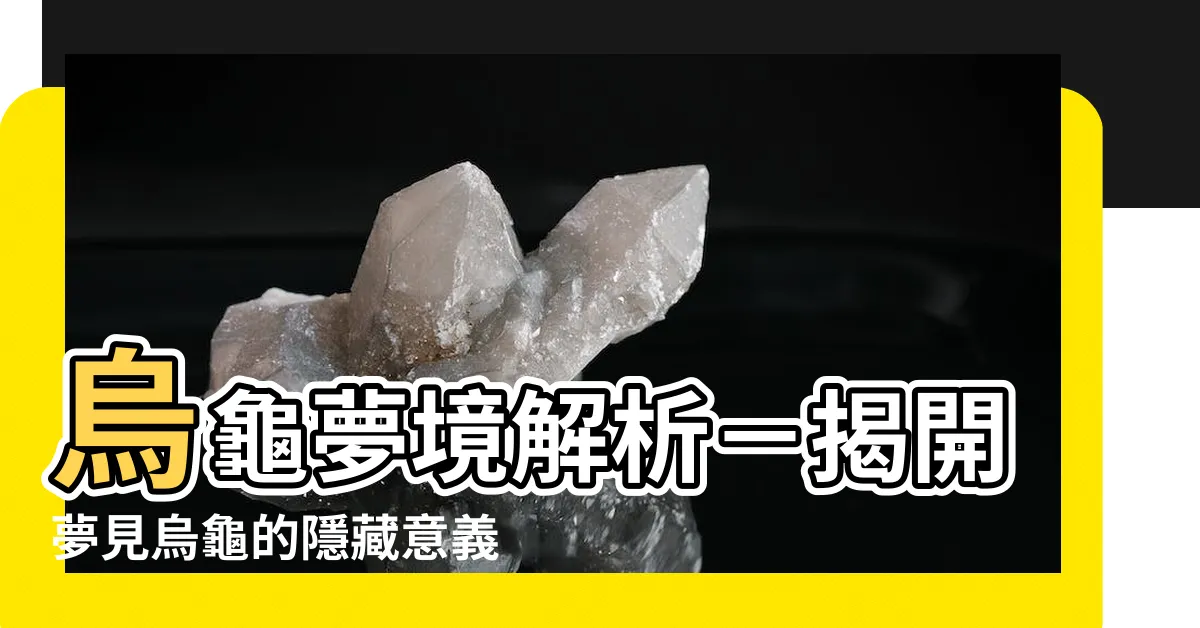 【夢見烏龜代表什麼】烏龜夢境解析－揭開夢見烏龜的隱藏意義
