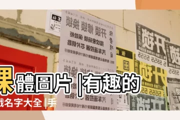 【遊戲簡單的名字大全圖片大全】裸體圖片 |有趣的遊戲名字大全 |手遊遊戲名字大全 |