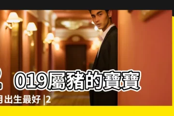 【2019豬年五月出生的寶寶】2019屬豬的寶寶幾月出生最好 |2019屬豬的幾月出生最好 |2019屬豬寶寶幾月出生好 |