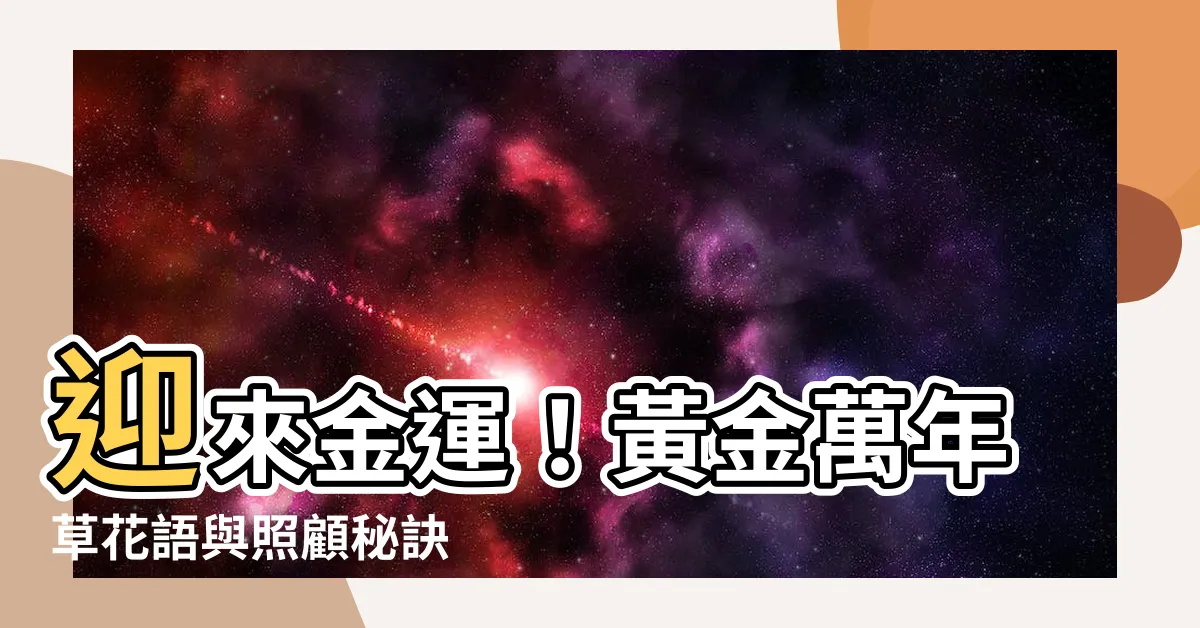 【黃金萬年草花語】迎來金運！黃金萬年草花語與照顧秘訣