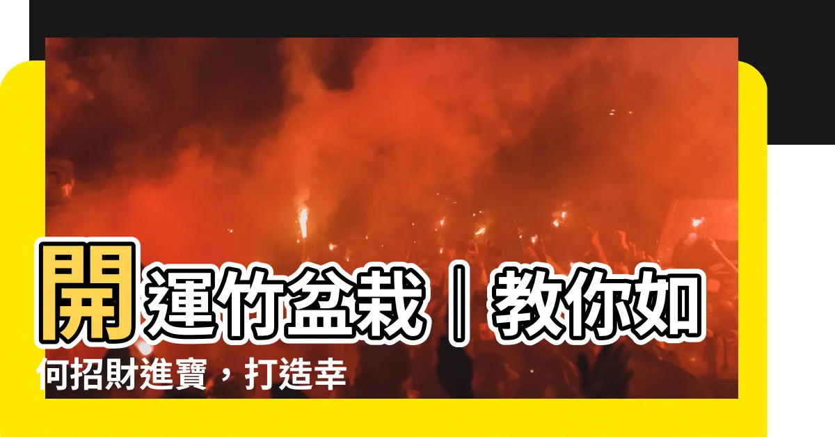 【開運竹 盆栽】開運竹盆栽｜教你如何招財進寶，打造幸運擺件