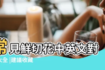 【中英文鮮切花名稱】常見鮮切花中英文對照大全 |建議收藏 |100種 |