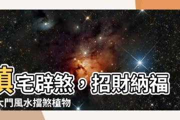 【大門風水大門門口擋煞植物】鎮宅闢煞，招財納福！大門風水擋煞植物強勢公開！