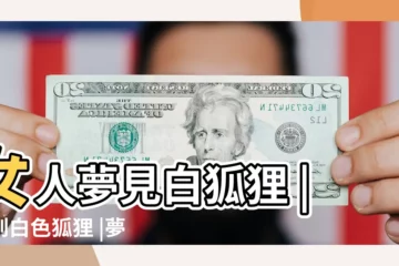 【夢見白色的狐狸和自己睡覺寓意什麼意思】女人夢見白狐狸 |夢到白色狐狸 |夢見狐狸在我懷裡睡覺 |
