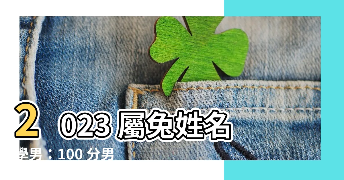 【2023屬兔姓名學男】2023 屬兔姓名學男：100 分男孩名字，少年感爆棚！
