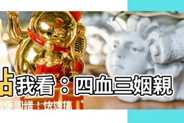 【四血三姻】點我看：四血三姻親屬關係圖譜！快速搞懂遺產繼承順位