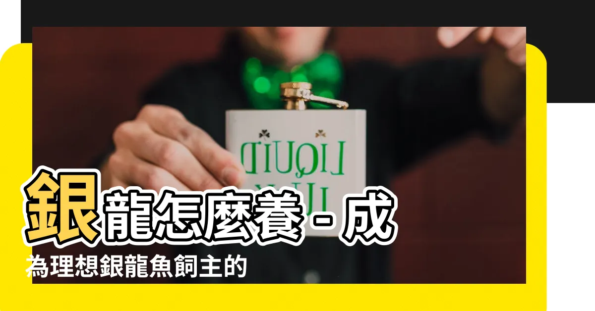【銀龍怎麼養】銀龍怎麼養 - 成為理想銀龍魚飼主的關鍵秘訣！