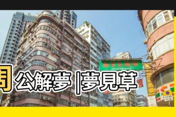 【周公解夢夢見堆草】周公解夢 |夢見草叢 |