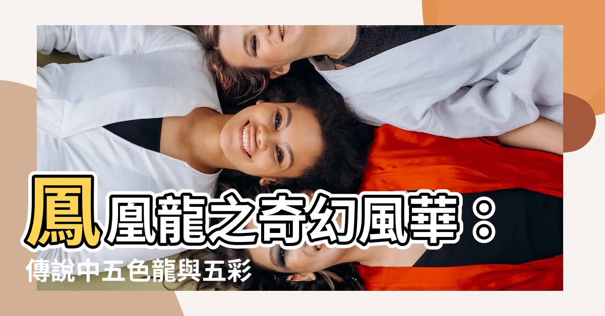 【鳳凰龍】鳳凰龍之奇幻風華：傳説中五色龍與五彩鳳凰的華麗對決