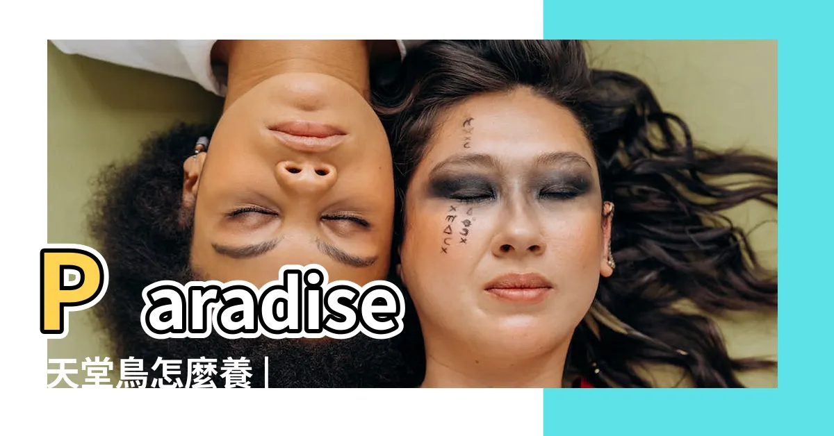 【植物天堂鳥】Paradise |天堂鳥怎麼養 |基礎照顧方法和特色 |