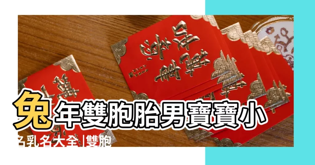 兔年雙胞胎男寶寶小名乳名大全 |雙胞胎小名大全男孩 |好聽的雙胞胎兄弟小名 |【雙胞胎兄弟的小名】