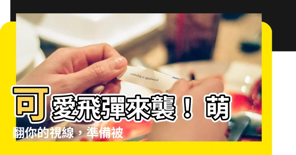 【可愛飛彈】可愛飛彈來襲！ 萌翻你的視線，準備被萌到爆炸！