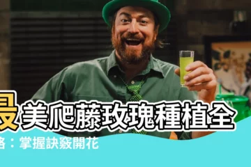 【爬藤玫瑰種植】最美爬藤玫瑰種植全攻略：掌握訣竅開花到爆！
