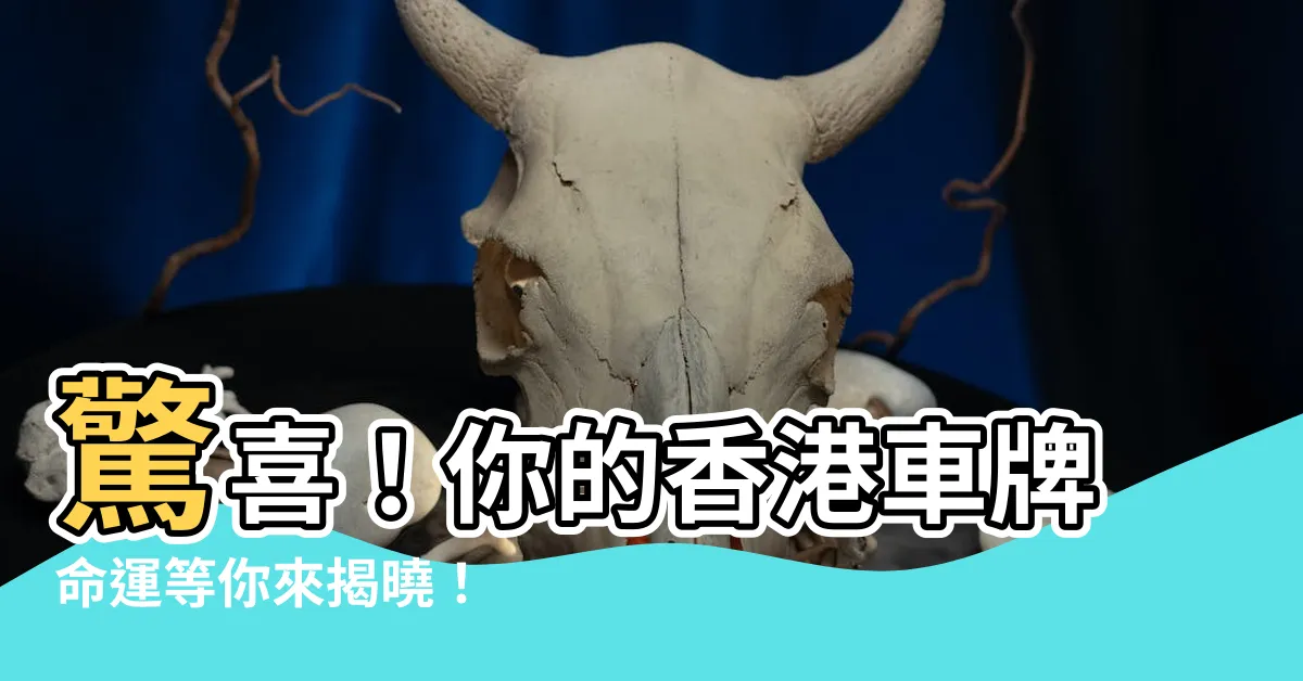 【香港車牌號碼查詢】驚喜！你的香港車牌命運等你來揭曉！