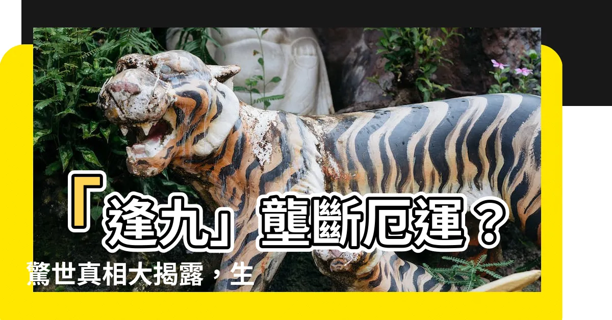 【逢九】「逢九」壟斷厄運？驚世真相大揭露，生肖們必看