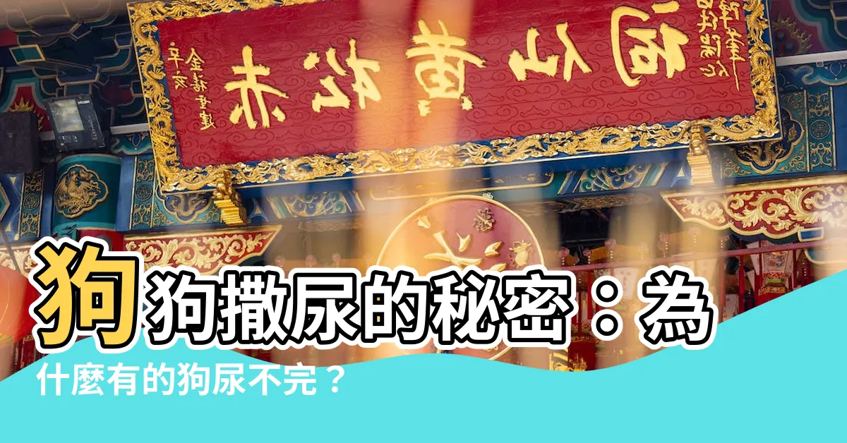 【狗撒尿】狗狗撒尿的秘密：為什麼有的狗尿不完？為什麼總喜歡抬腿？