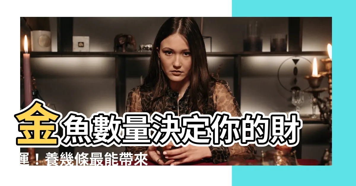 【金魚數量 風水】金魚數量決定你的財運！養幾條最能帶來好運？