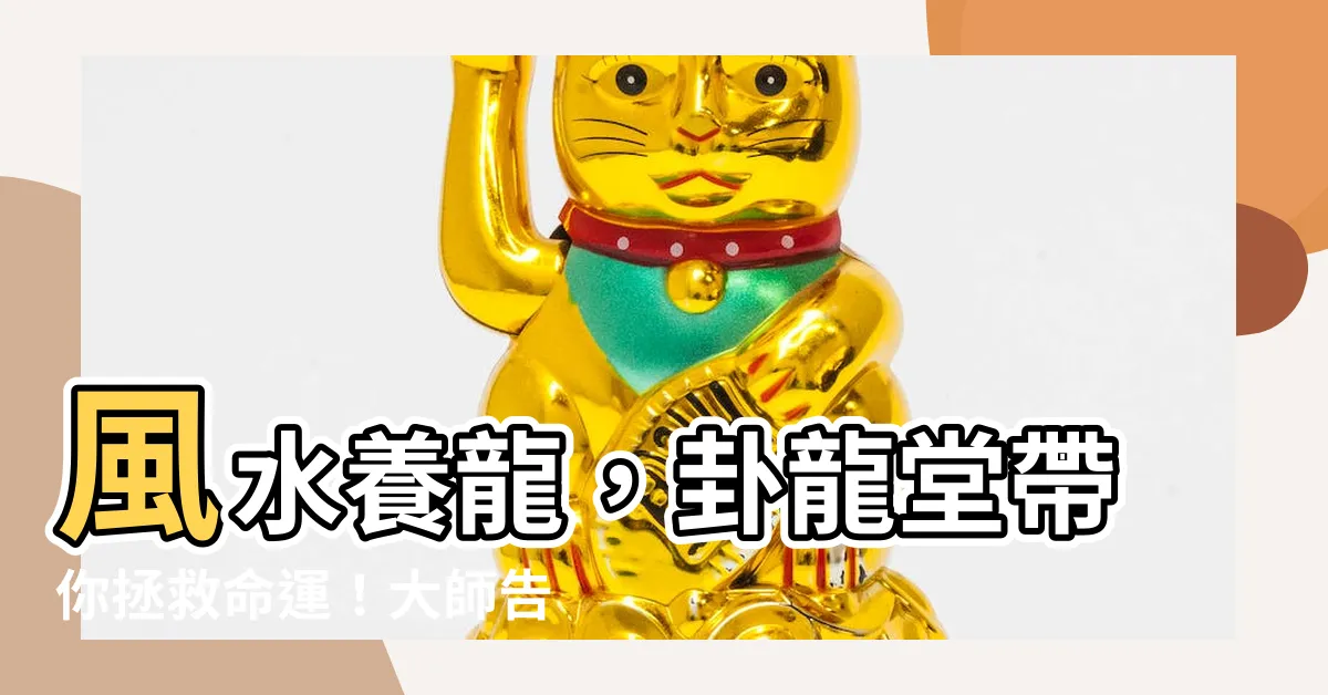 【卦龍堂】風水養龍，卦龍堂帶你拯救命運！大師告訴你一招，讓財運翻倍！