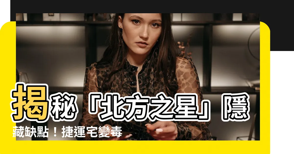 【北方之星缺點】揭秘「北方之星」隱藏缺點！捷運宅變毒藥？標售重挫背後真相