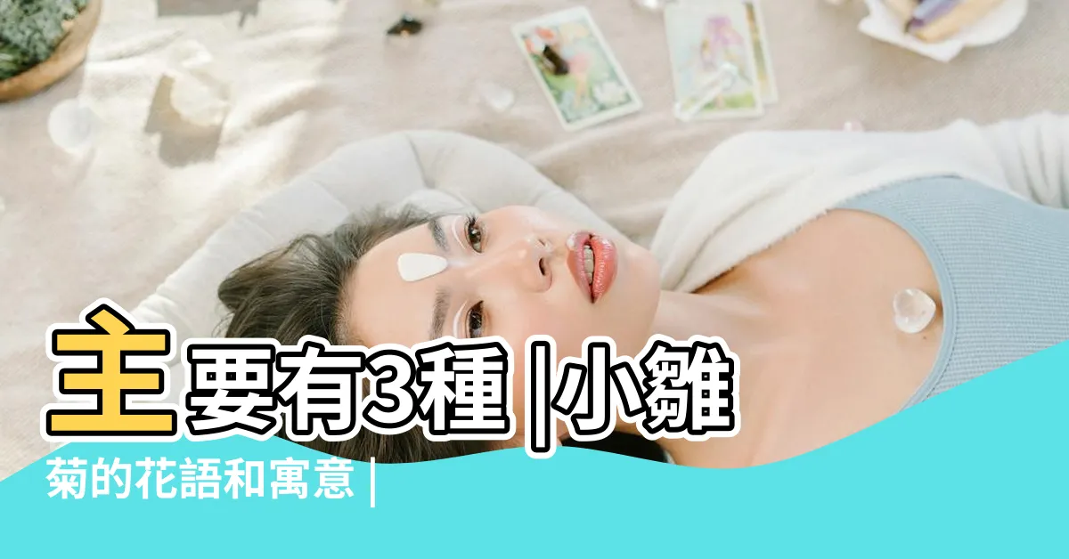 【小雛菊花語】主要有3種 |小雛菊的花語和寓意 |藍雛菊花語象徵的意義是 |