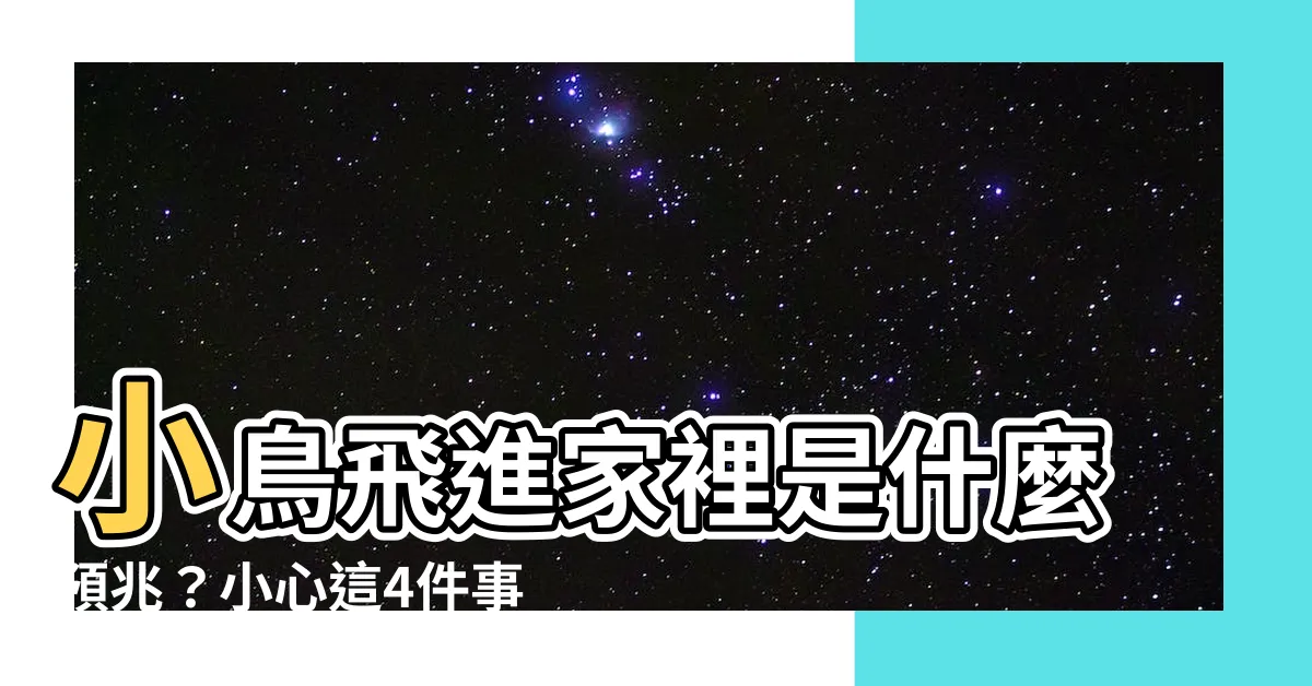 【小鳥飛進家裏什麼意思】小鳥飛進家裡是什麼預兆？小心這4件事！