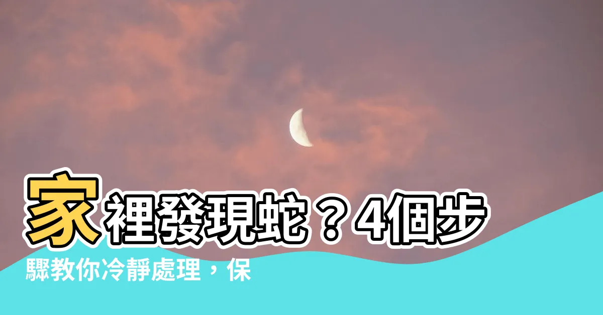 【家裡發現蛇】家裡發現蛇？4個步驟教你冷靜處理，保持和諧並恢復安寧！