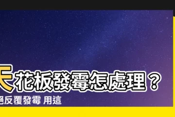 【天花板發黴 處理】天花板發黴怎處理？拒絕反覆發黴 用這個方法一次解決
