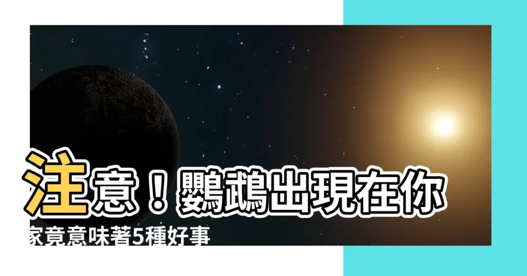 【鸚鵡 預兆】注意！鸚鵡出現在你家竟意味著5種好事，時來運轉財氣旺！