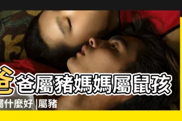 【爸爸屬豬媽媽屬鼠】爸爸屬豬媽媽屬鼠孩子屬什麼好 |屬豬和屬鼠生什麼屬相寶寶好屬豬和 |搜索結果 |