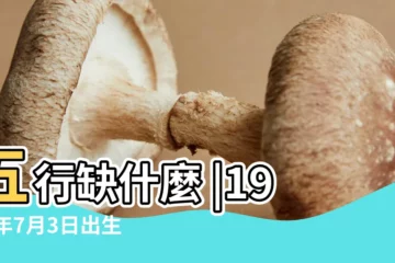 【1990年7月初三午時】五行缺什麼 |1990年7月3日出生的人生辰八字測算 |農曆一九九零年閏五月 |