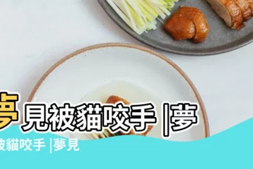 【夢裏夢見貓咬我手】夢見被貓咬手 |夢見被貓咬手 |夢見被貓咬 |