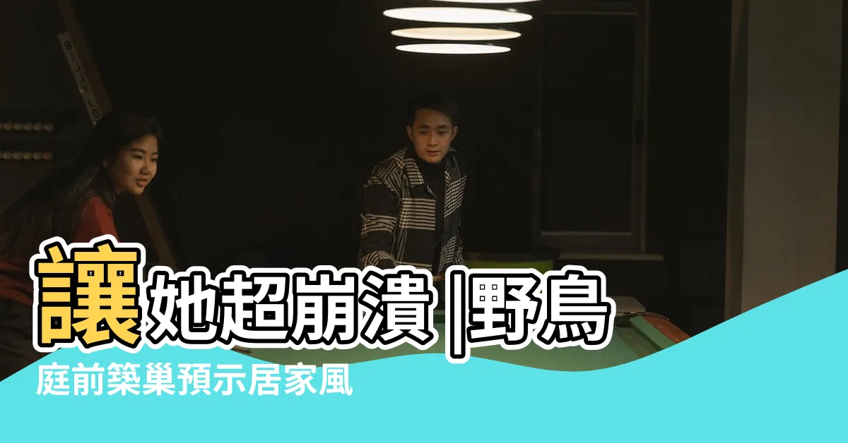 【鳥在家築巢風水】讓她超崩潰 |野鳥庭前築巢預示居家風水好兆頭 |窗户上有鳥窩什麼兆頭有好運嗎 |