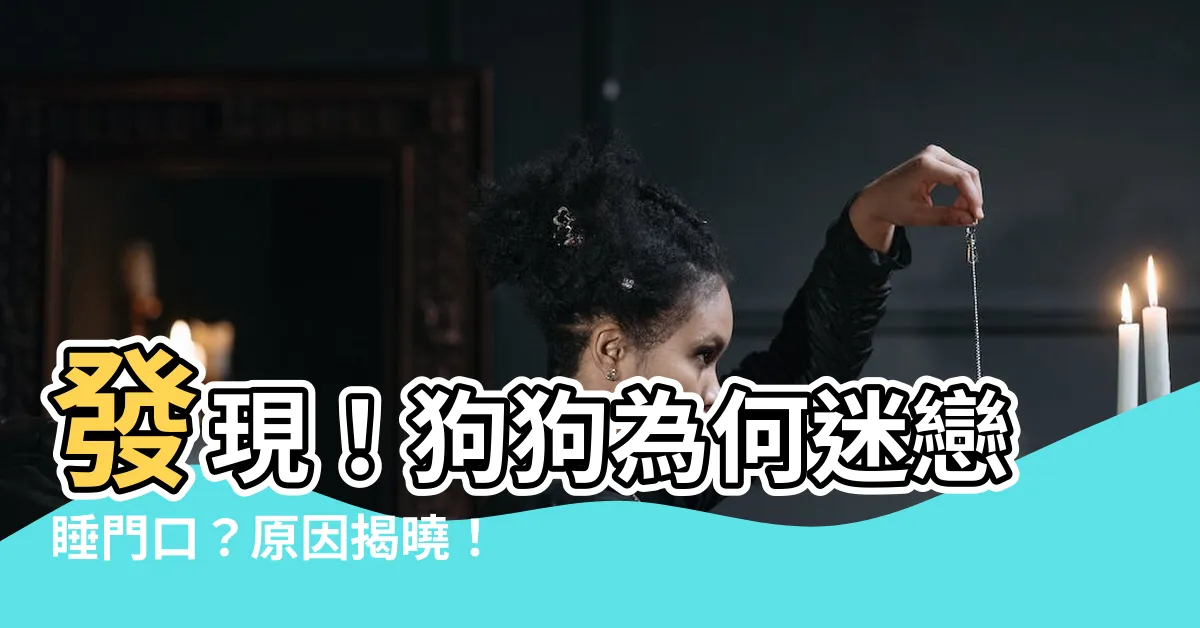 【狗喜歡睡門口】發現！狗狗為何迷戀睡門口？原因揭曉！