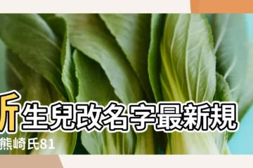 【2017免費新生兒改名字大全】新生兒改名字最新規定 |熊崎氏81 |免費兒女命名 |