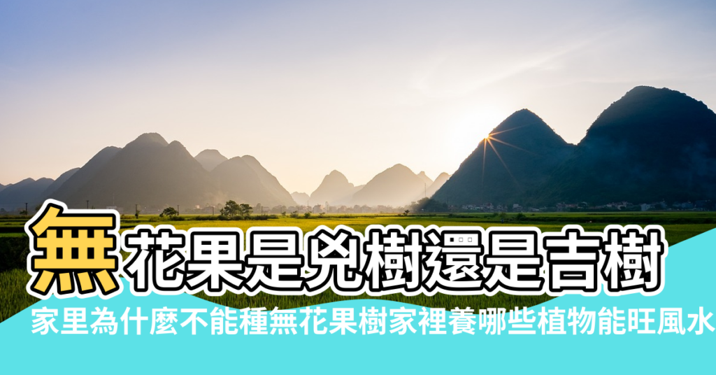 【風水無花果】無花果是兇樹還是吉樹 |家里為什麼不能種無花果樹家裡養哪些植物能旺風水 |別墅庭院中無花果樹的風水 |