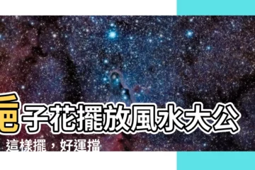 【梔子花 風水】梔子花擺放風水大公開！這樣擺，好運擋不住！