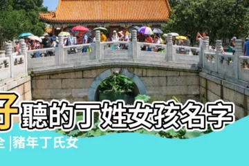 【丁氏豬年女孩取名大全】好聽的丁姓女孩名字大全 |豬年丁氏女寶寶名字 |丁姓女孩名字大全2019 |