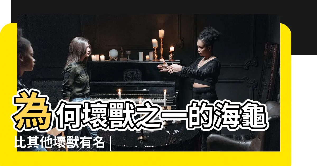 【海龜壞獸】為何壞獸之一的海龜比其他壞獸有名 |Master |占卜魔女 |