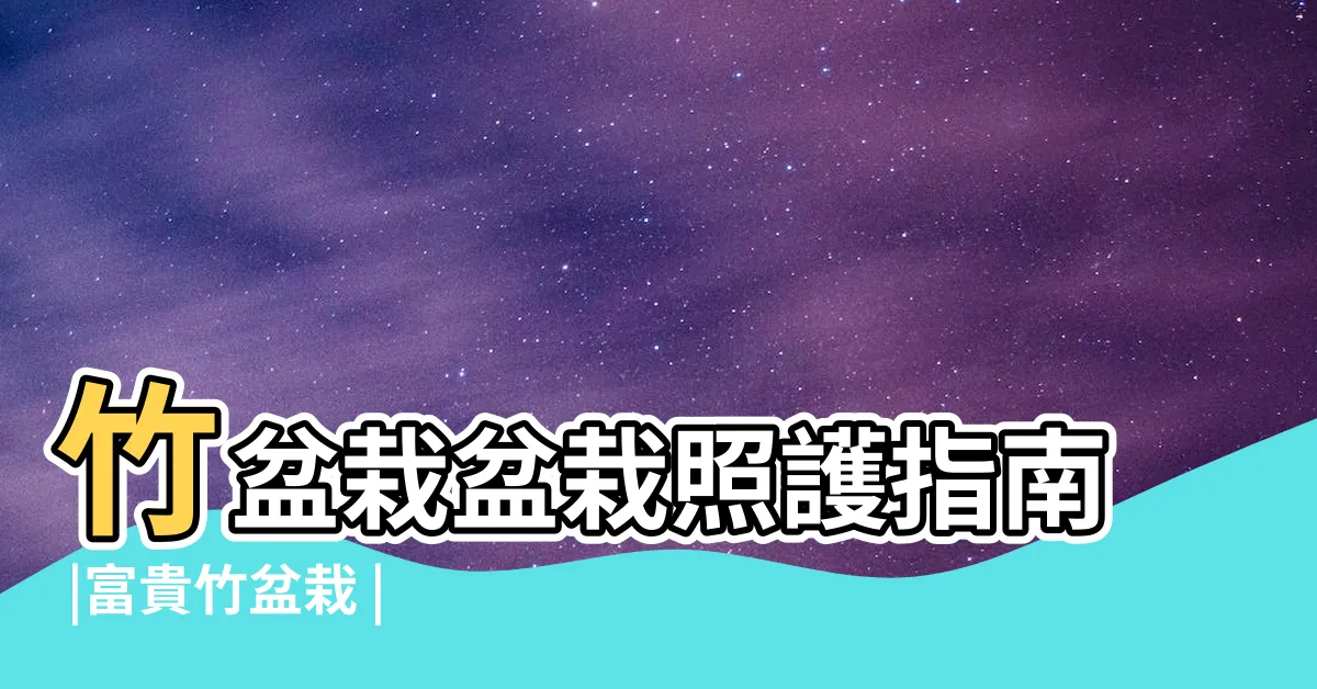 【竹盆栽】竹盆栽盆栽照護指南 |富貴竹盆栽 |竹子盆栽 |
