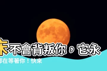 【牀不會背叛你】牀不會背叛你，它永遠都在等著你！快來體驗極致的舒適！
