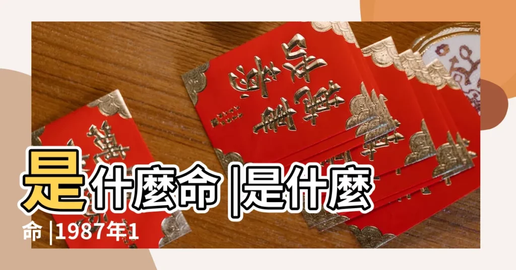 是什麼命 |是什麼命 |1987年11月9日出生的人生辰八字測算 |【1987年11月初九是什麼命】