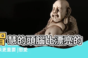 【戀愛對象相貌和智慧哪個重要】智慧的頭腦比漂亮的外表更重要 |戀愛貌似長相很重要 |原創一個女人 |