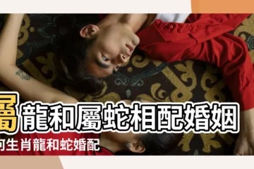 【屬蛇人和屬龍人婚姻如何】屬龍和屬蛇相配婚姻如何生肖龍和蛇婚配好嗎 |屬蛇男人和屬龍女人相配嗎 |屬蛇的和屬龍的婚姻相配嗎屬蛇的和什麼屬相最配 |