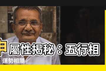 【申屬性】申屬性揭秘：五行相配，運勢相隨