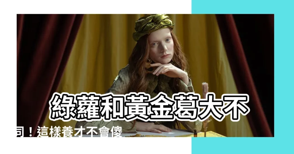 【綠蘿和黃金葛有什麼不一樣】 綠蘿和黃金葛大不同!這樣養才不會傻傻分不清楚