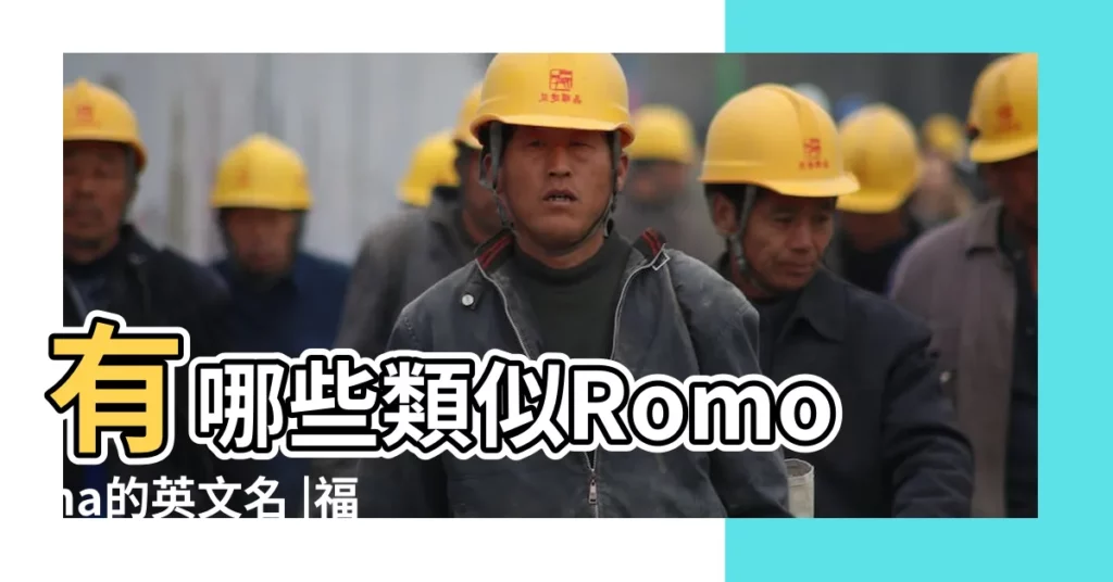 有哪些類似Romona的英文名 |福建兄妹年齡 |有沒有還不錯的網名 |【柔骨 傲性的英文名】