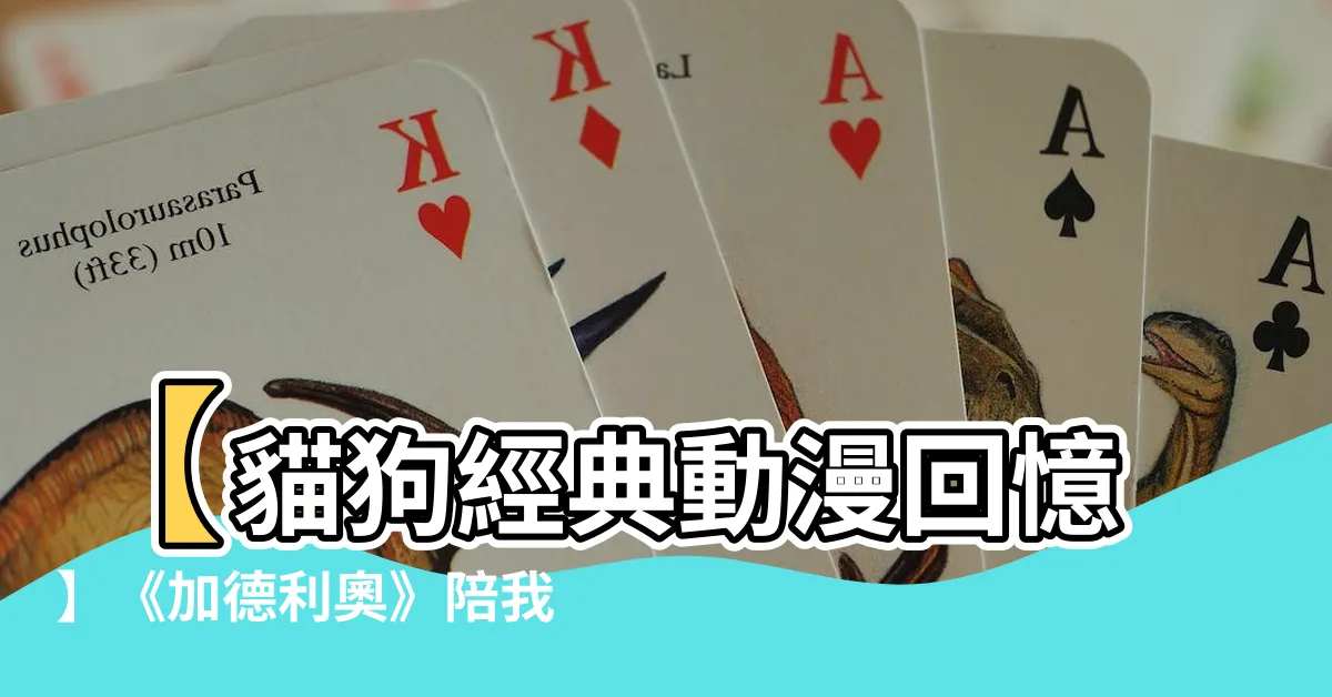 【加德利奧英文名】【貓狗經典動漫回憶】《加德利奧》陪我們長大的貼心夥伴