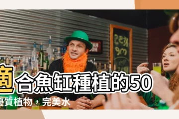 【魚缸種植物】適合魚缸種植的50大優質植物，完美水草相伴！